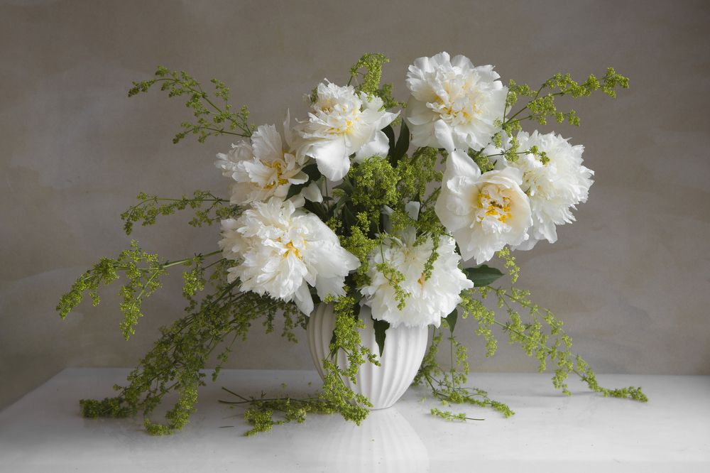 Photograph by Татьяна Назмутдинова