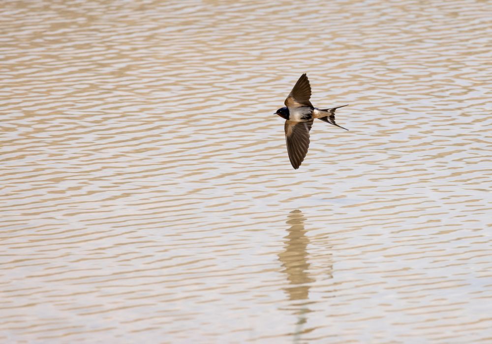 Photograph by Mahmut YILMAZ