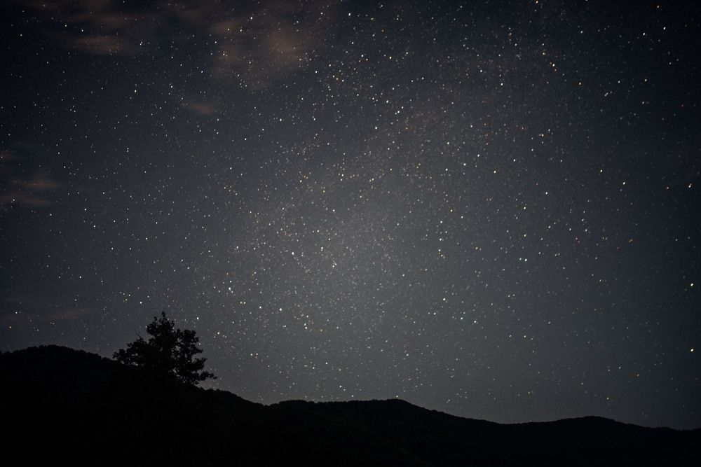 Photograph by Margarita