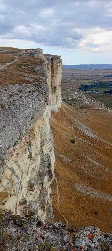 Photo #11384386