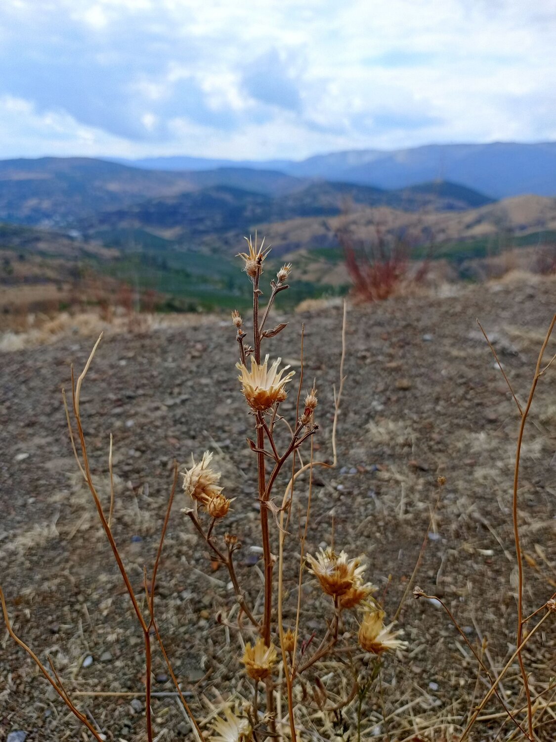 Photo #11384387