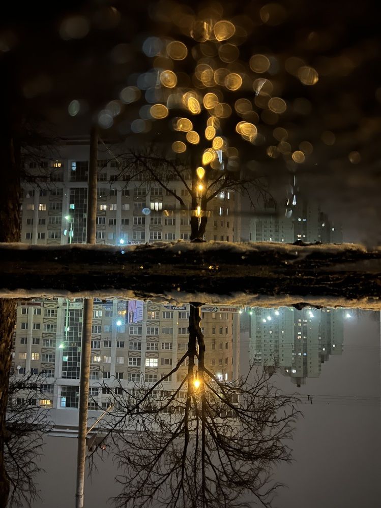 Фотография автора Светлана Малаховская
