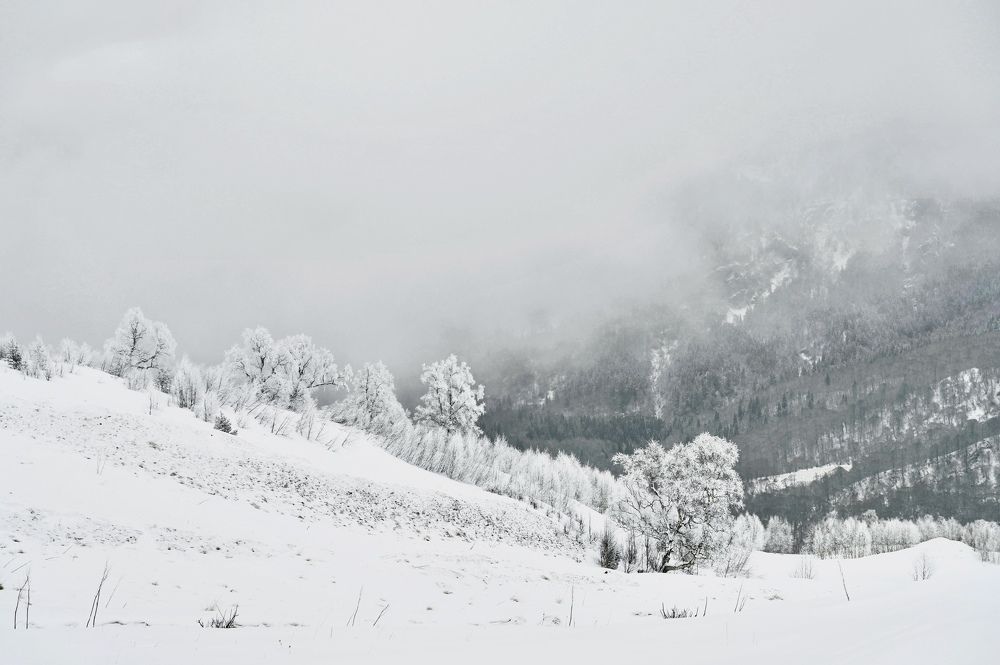 Photograph by Iva Ajva