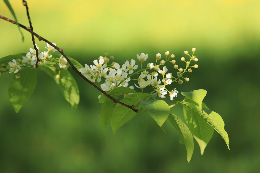 Photograph by Елена Николаева