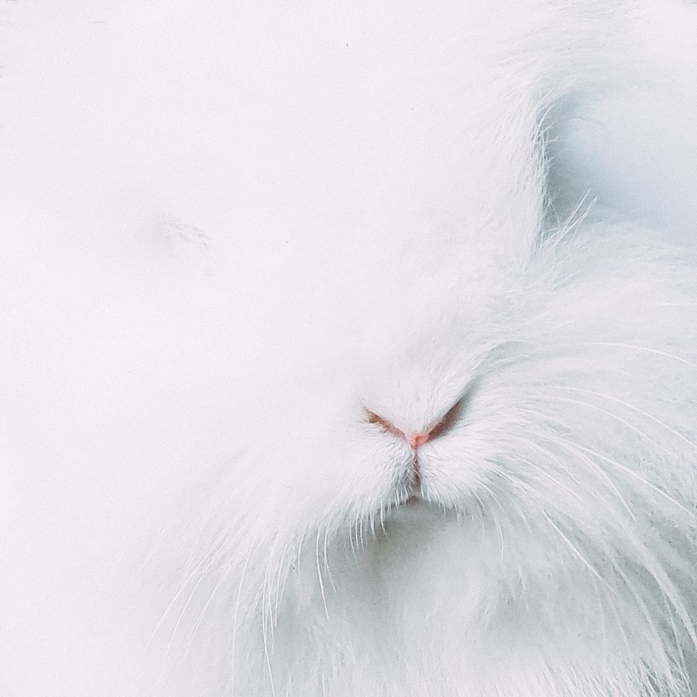 Photograph by Ирина Протченко