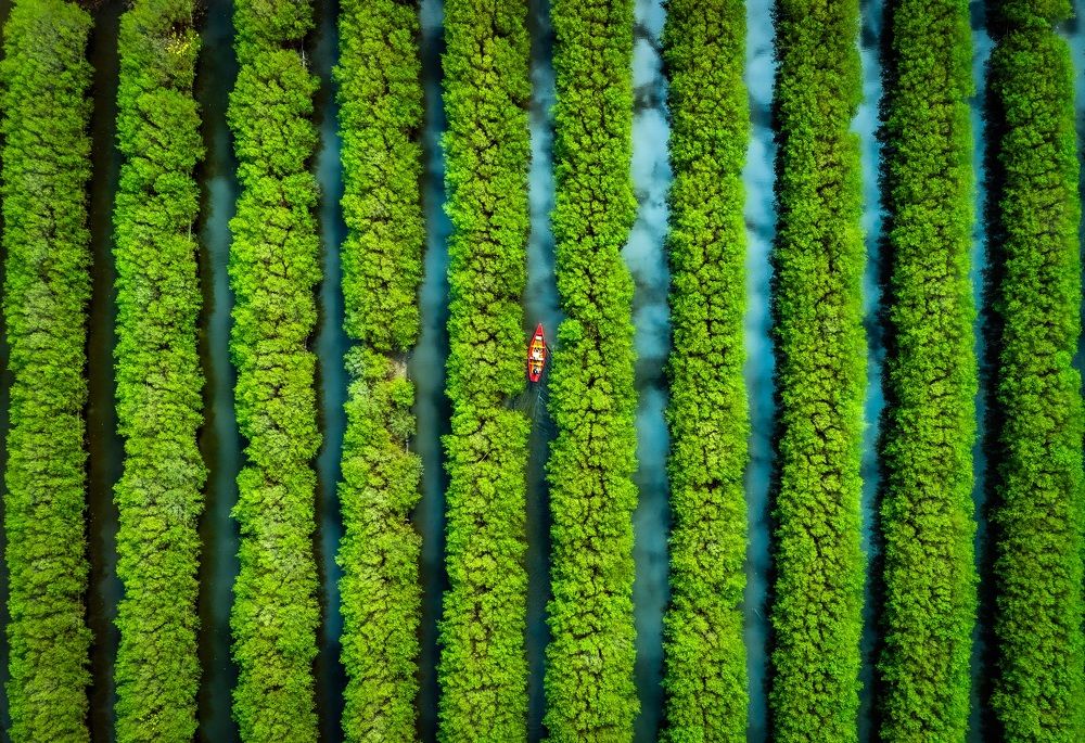 Photograph by Cao Alex