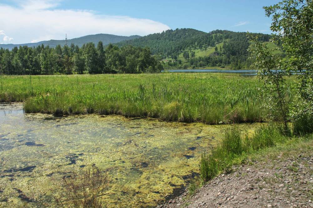 Photograph by Ольга Литвинцева