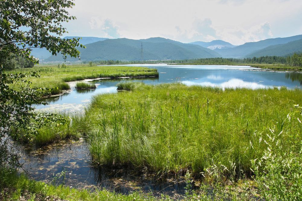 Photograph by Ольга Литвинцева