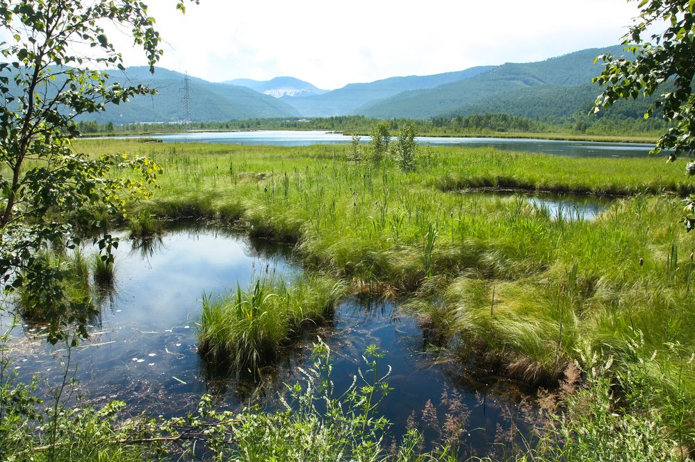 Photograph by Ольга Литвинцева