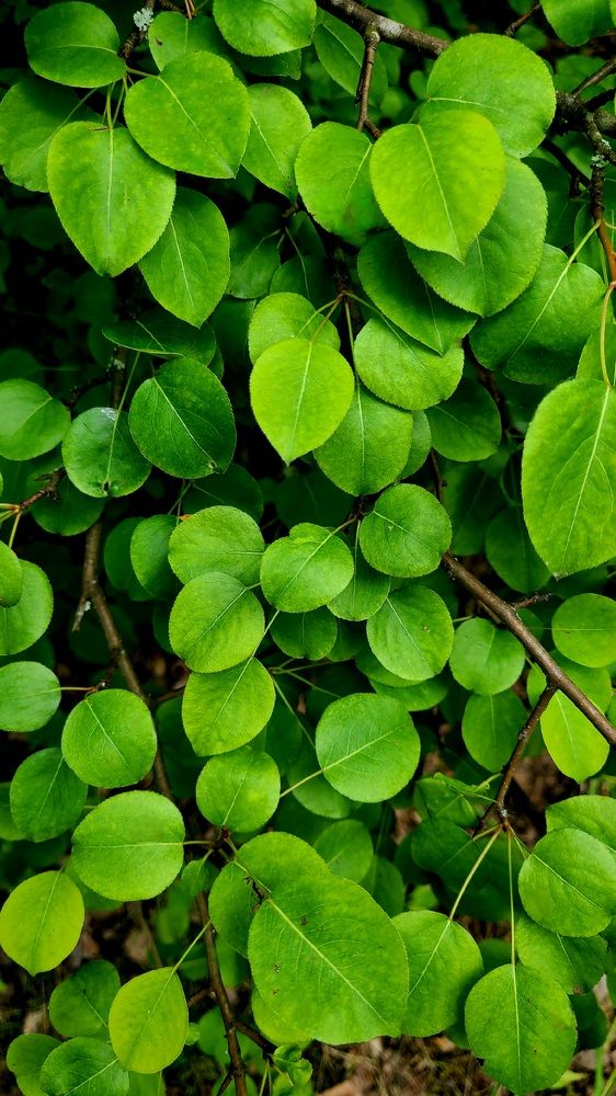 Photograph by Егор Жук