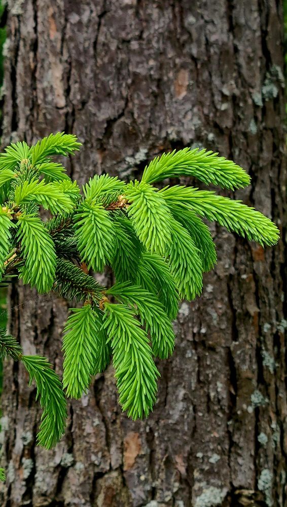 Photograph by Егор Жук