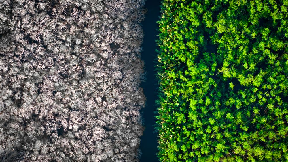 Photograph by Minh Tú Nguyễn