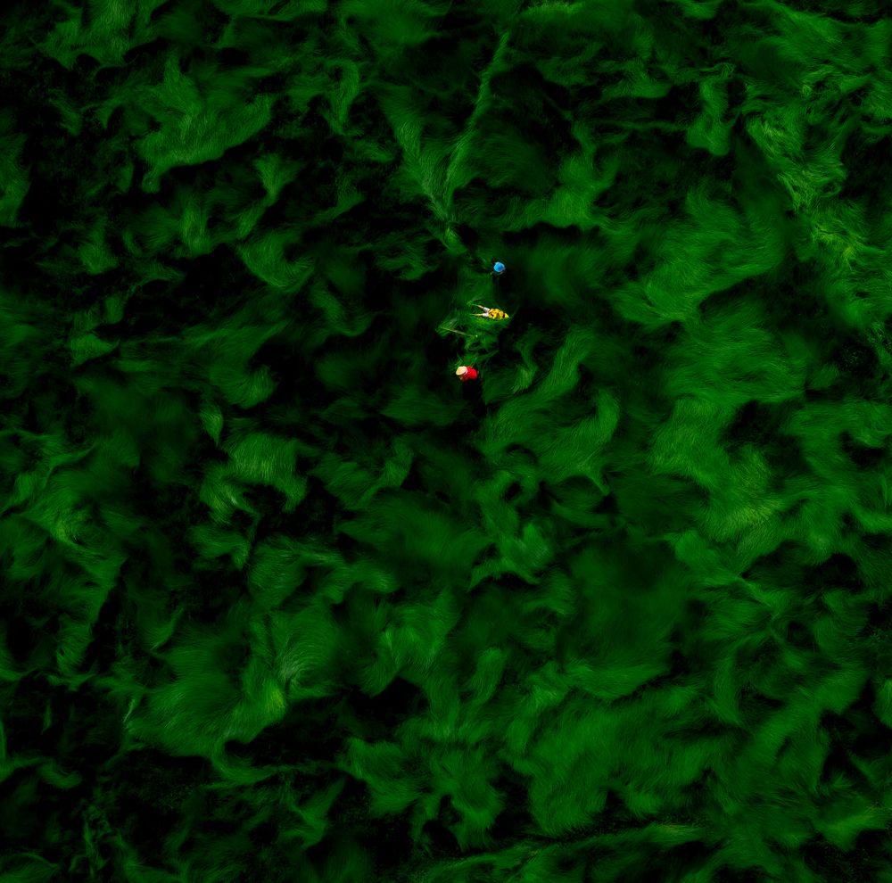 Photograph by Minh Tú Nguyễn