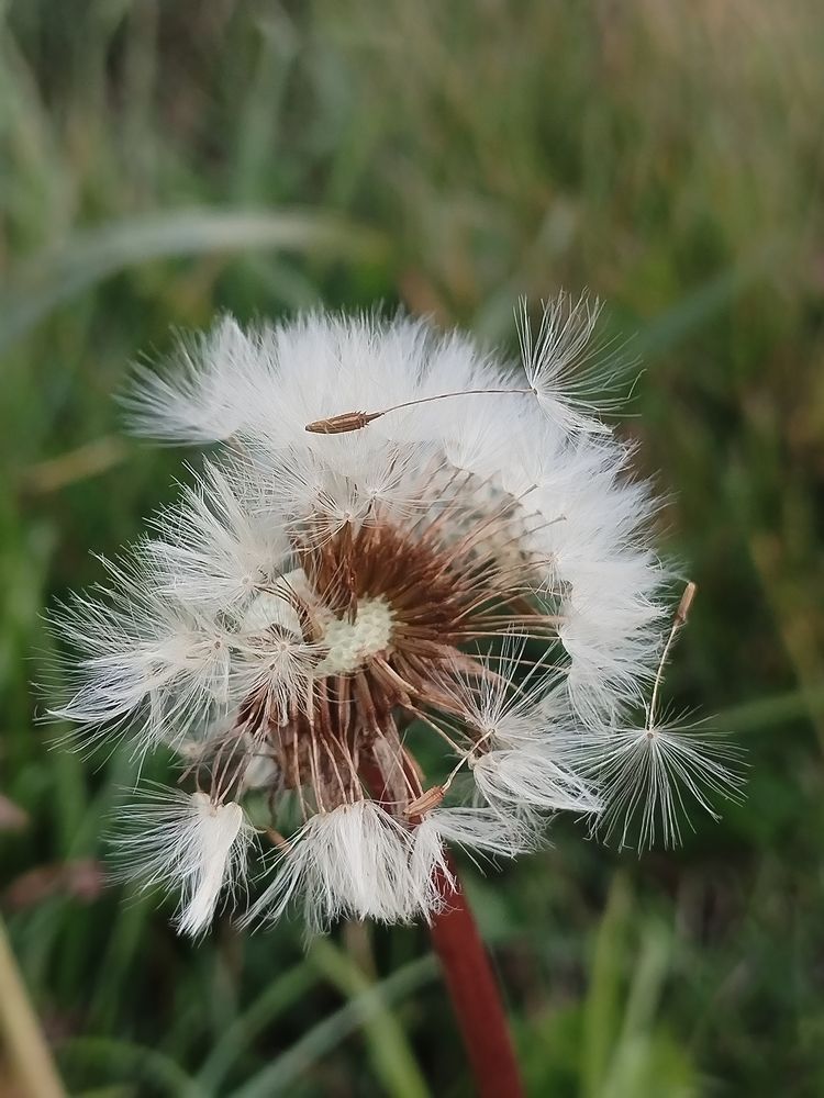 Photo #11384477