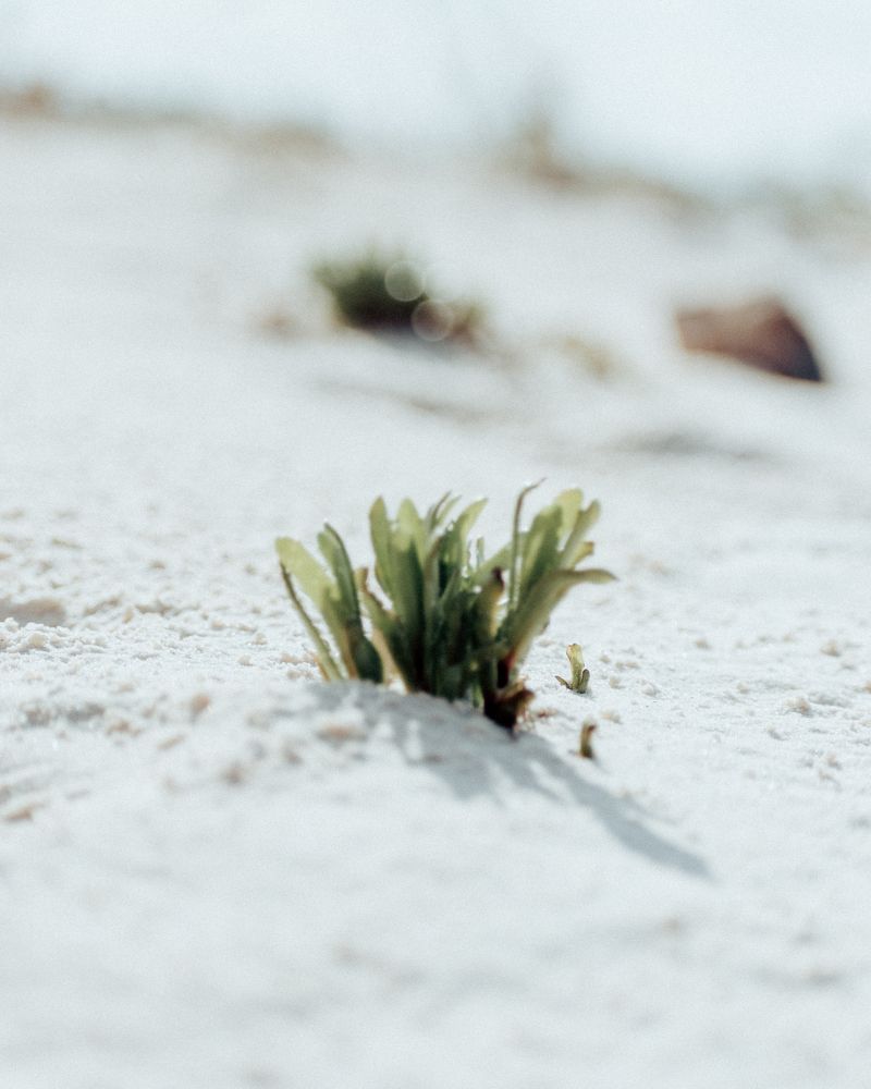 Photograph by Mazen Abdennadher