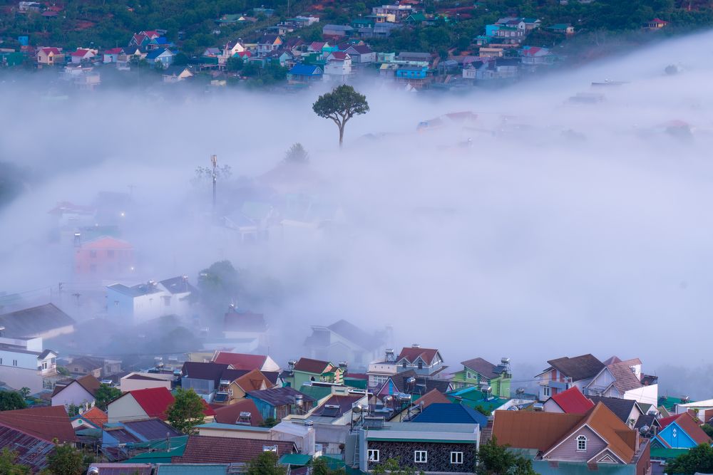 Photograph by Minh Tú Nguyễn
