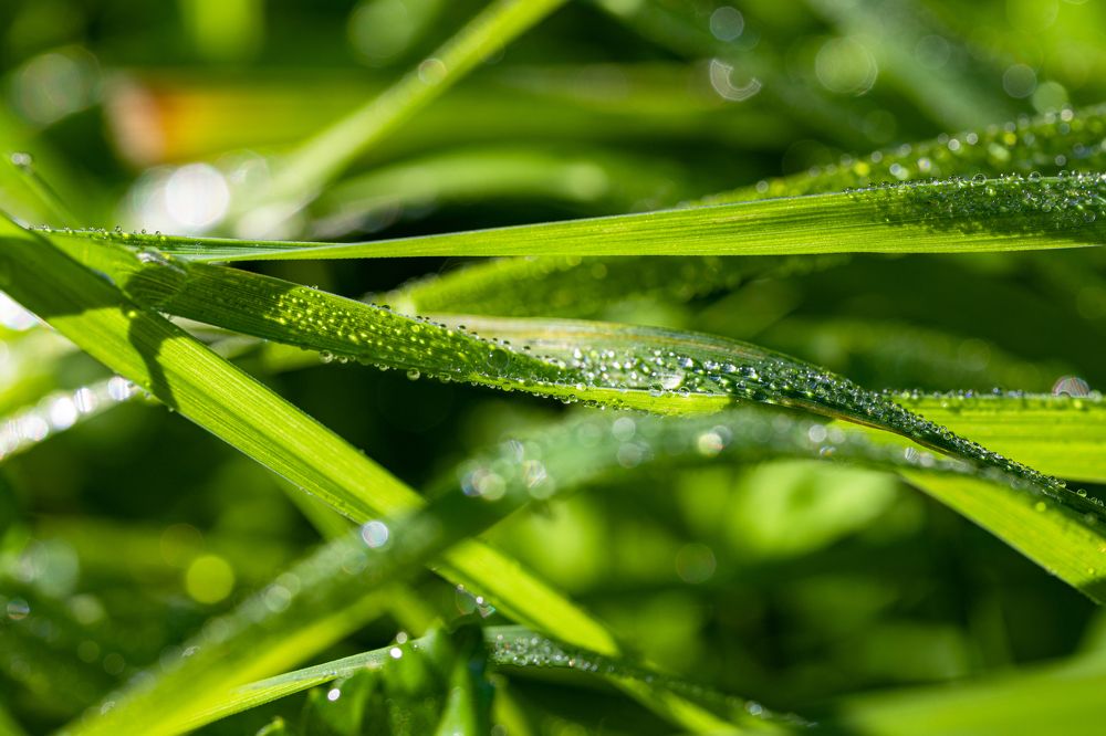 Фотография автора Ирина Гриценко