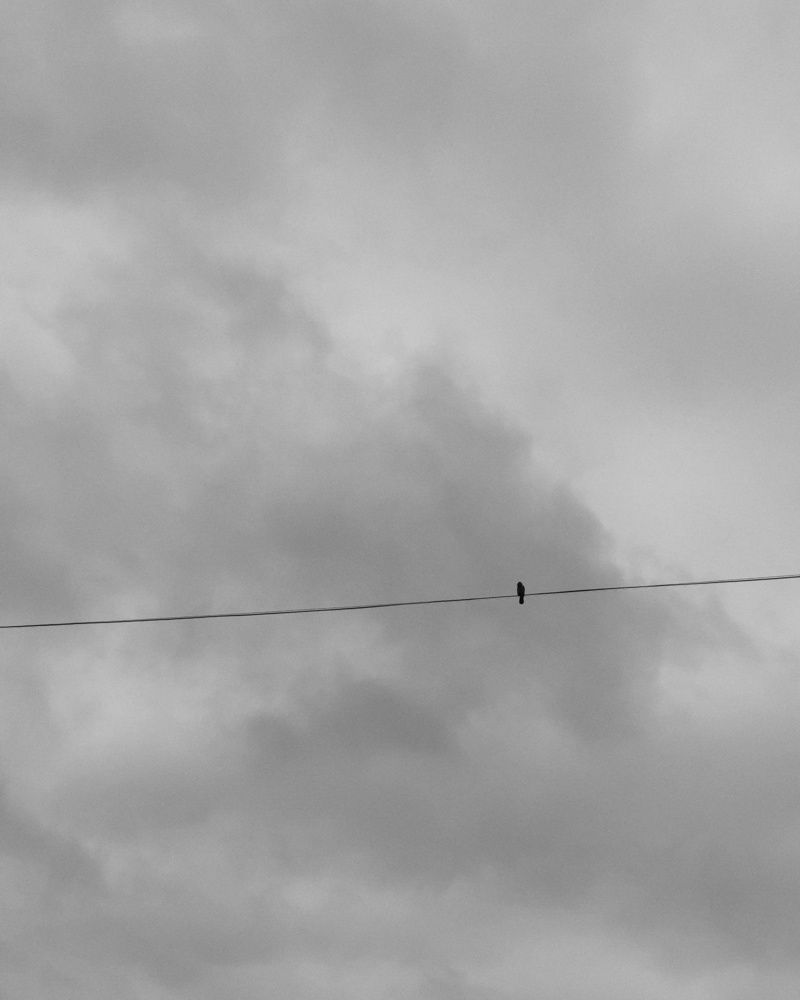 Photograph by Алия Латыйпова