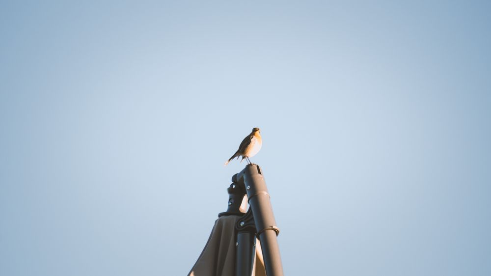 Photograph by Vadzim Darafei