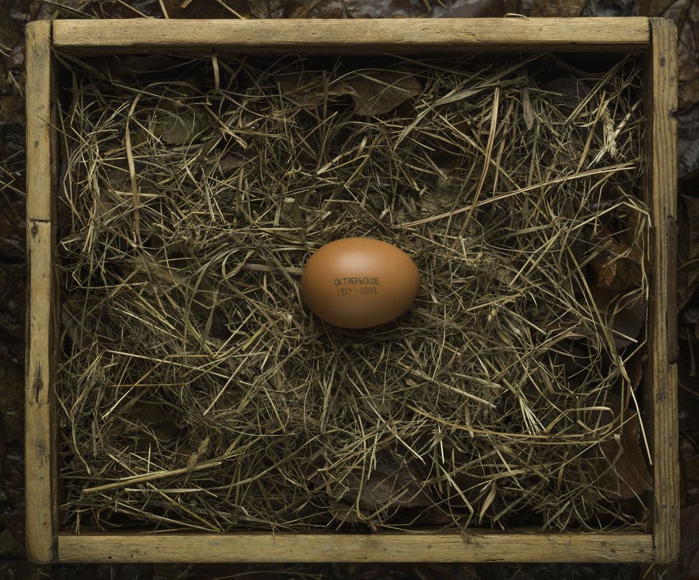 Photograph by Dar Veter