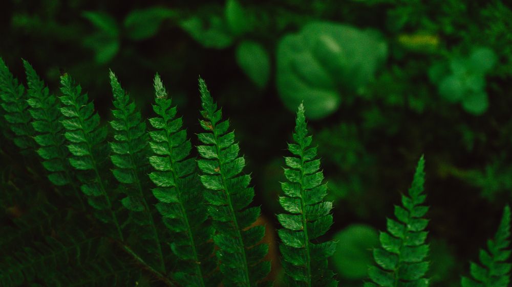 Photograph by Vadzim Darafei