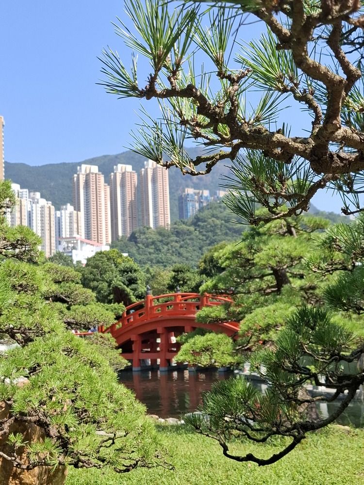 Photograph by Ольга Закаблуковская