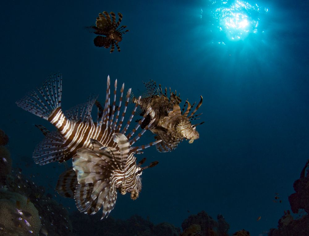 Photograph by Юрий Перевозников