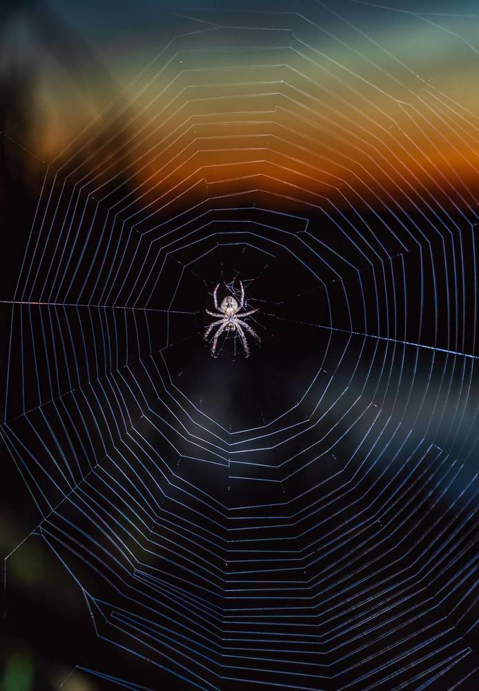 Фотография автора Константин Григорьев