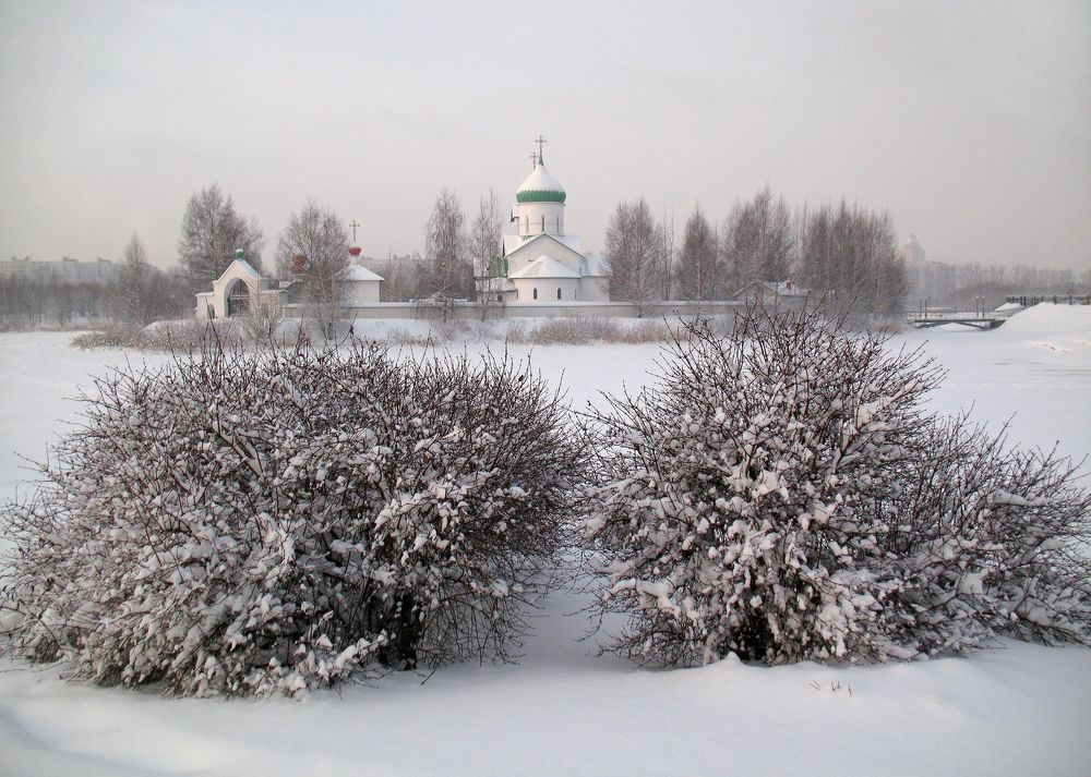 Зимний день