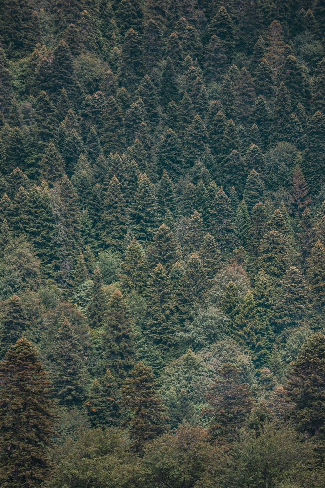 Photograph by Виктория Фирсова