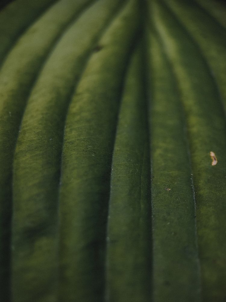 Photograph by Виктория Фирсова