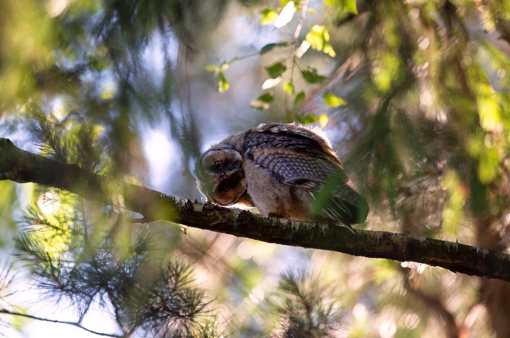 Photograph by Елена Куликова
