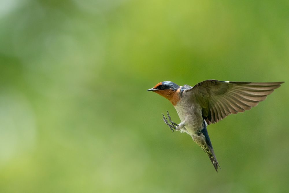 Photograph by Sudheer Nunna