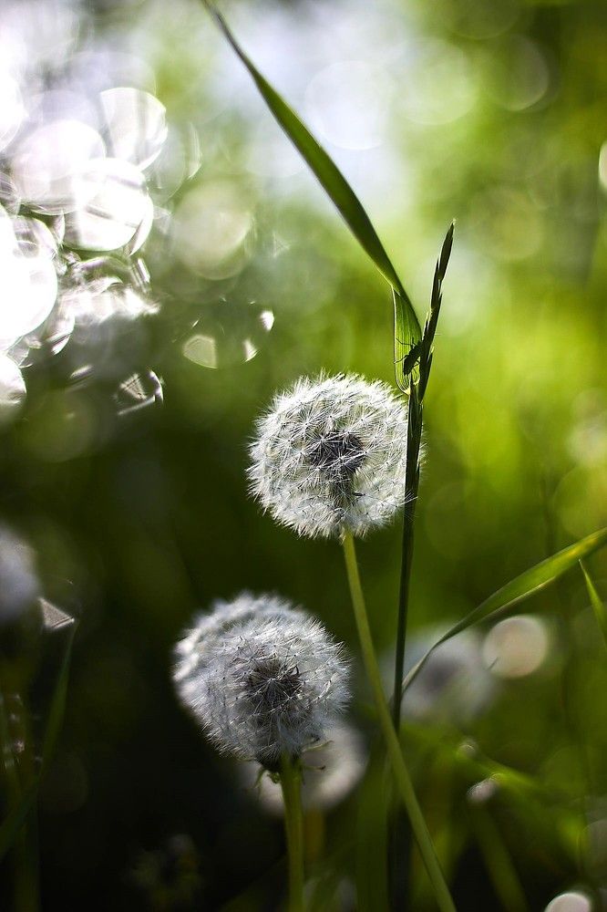 Photograph by Наталья Шевелева