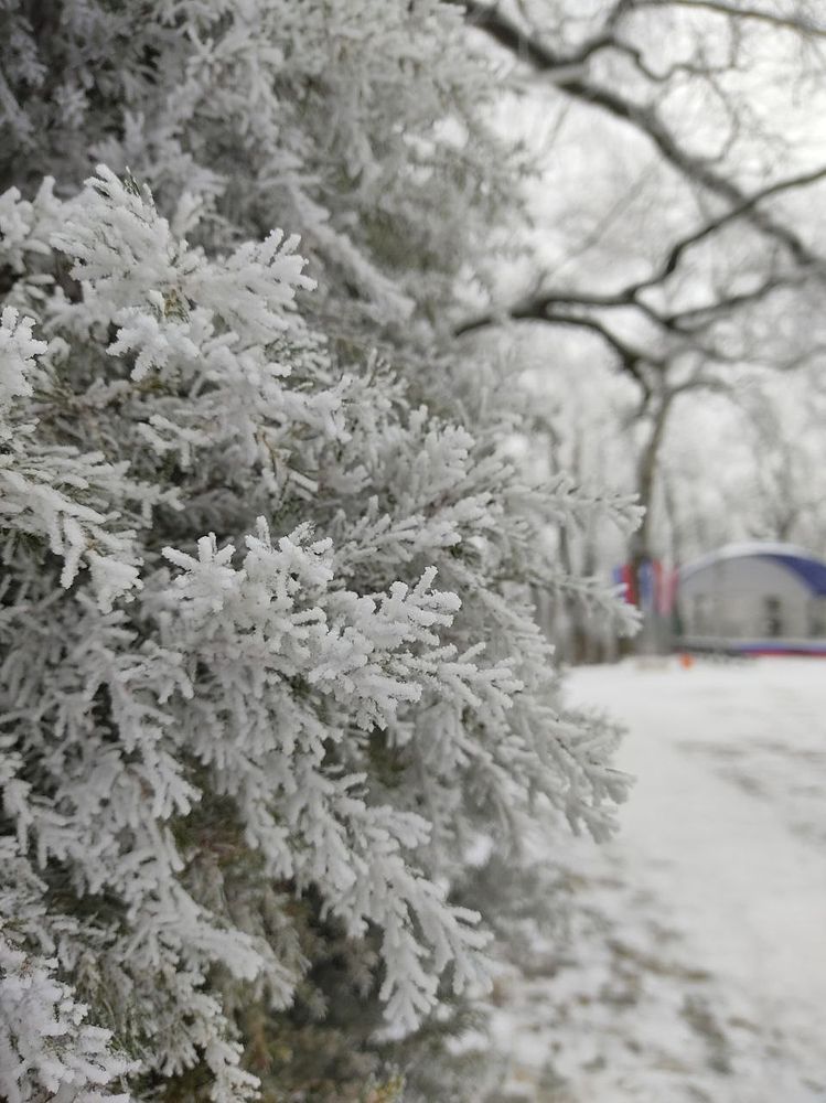 Photograph by Александра