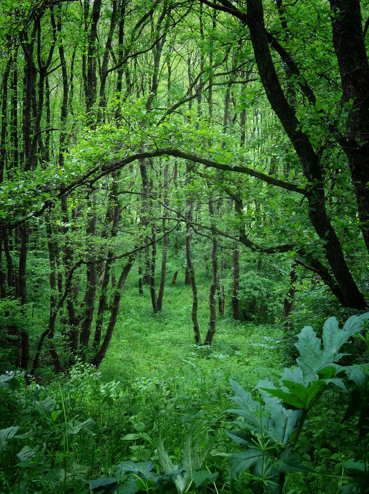 Photograph by Александра