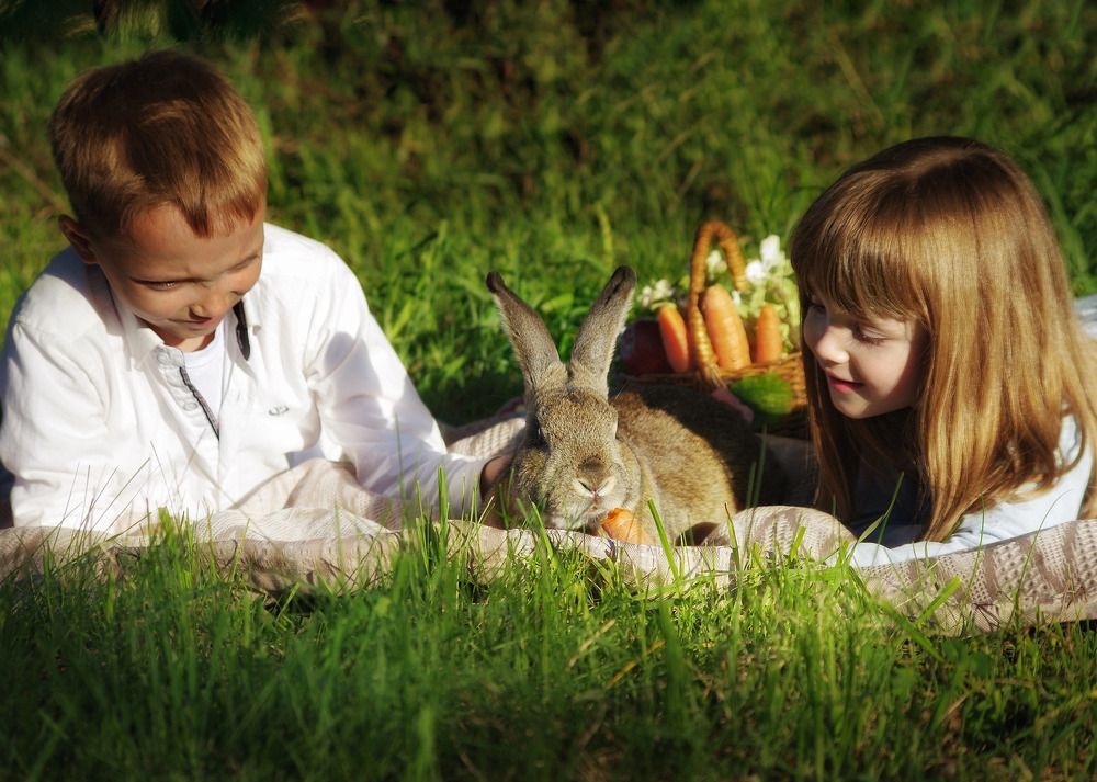 Photograph by Марина