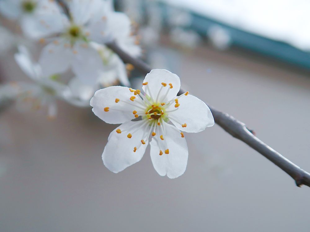 Photograph by Александра