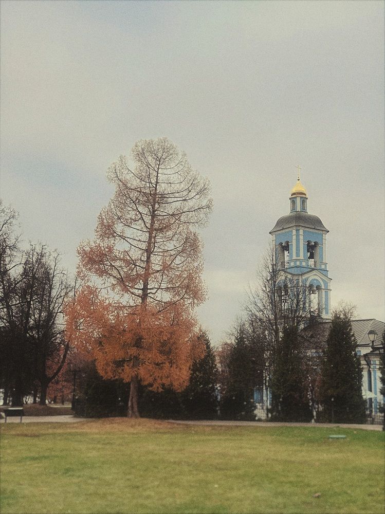 Photograph by Людмила Самсонова