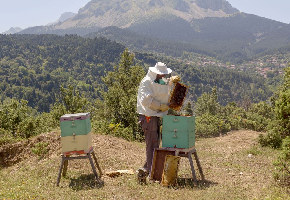 Photograph by TETYANA LYAPI