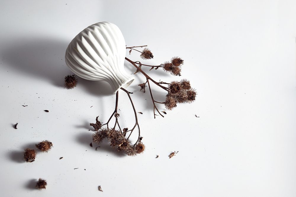 Photograph by Элина Зеленая