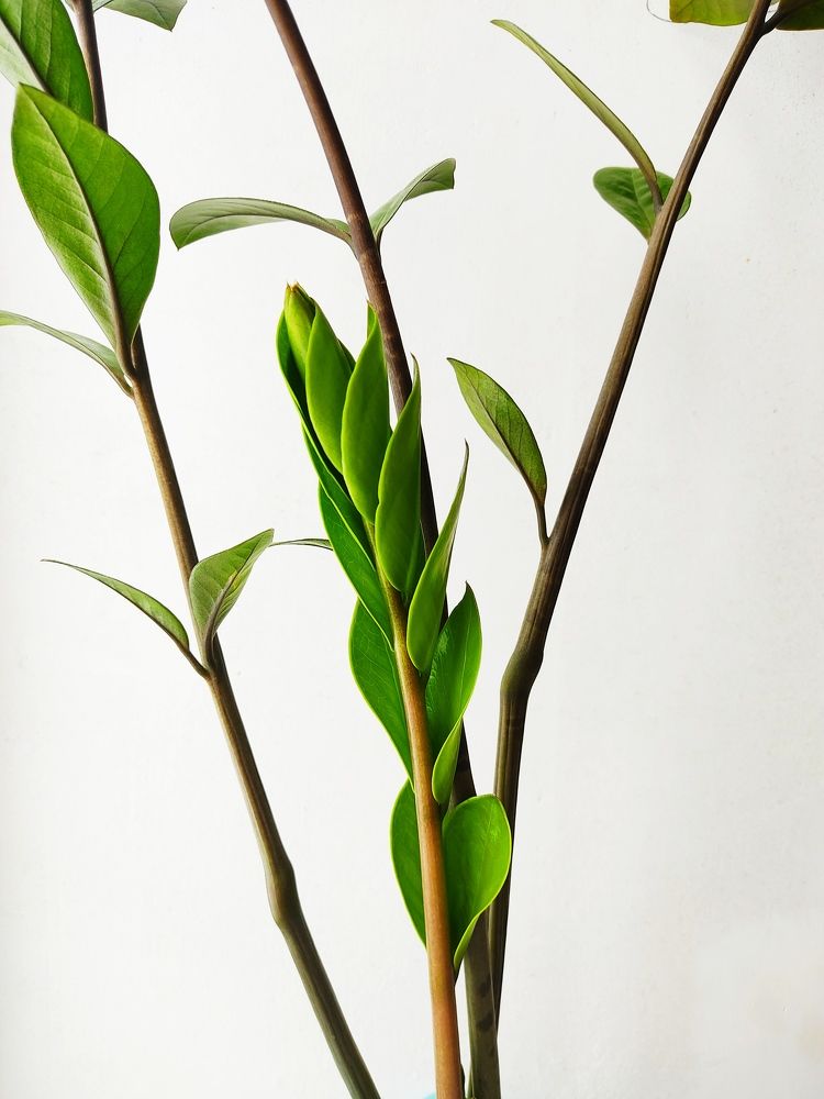 Photograph by Александра