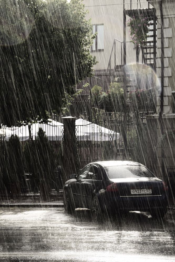 Photograph by Ольга Рыкова