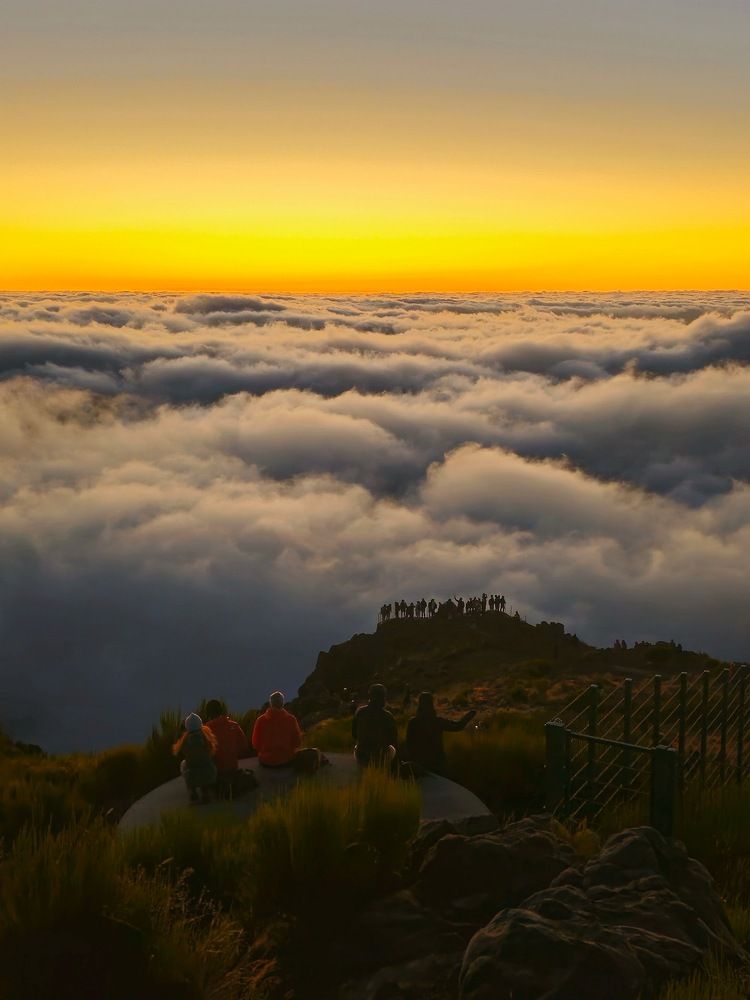 Фотография автора Sebastian Popa