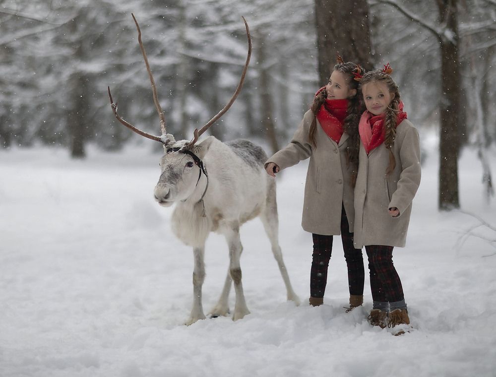 В волшебном лесу