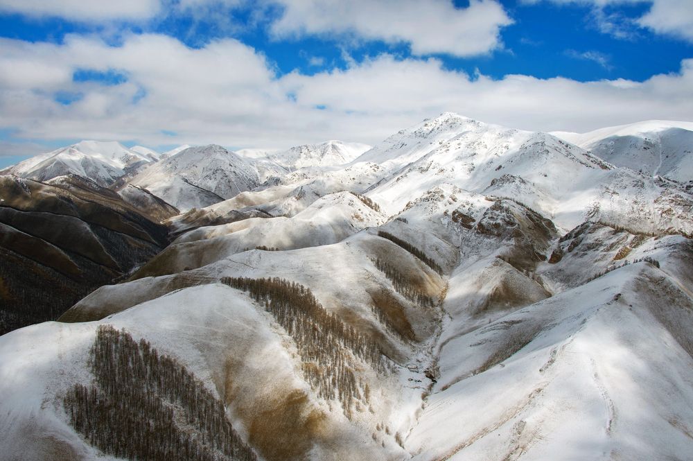 Photograph by Alexandr Myasnikov