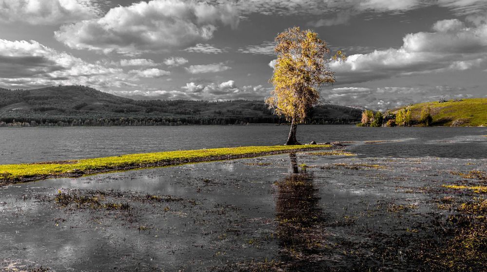 Photograph by Сергей Синягин