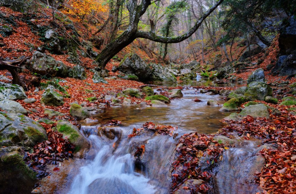 Фотография автора Виктор Долматов