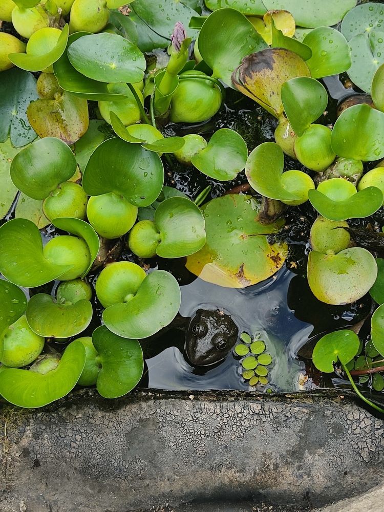 Photograph by Александра