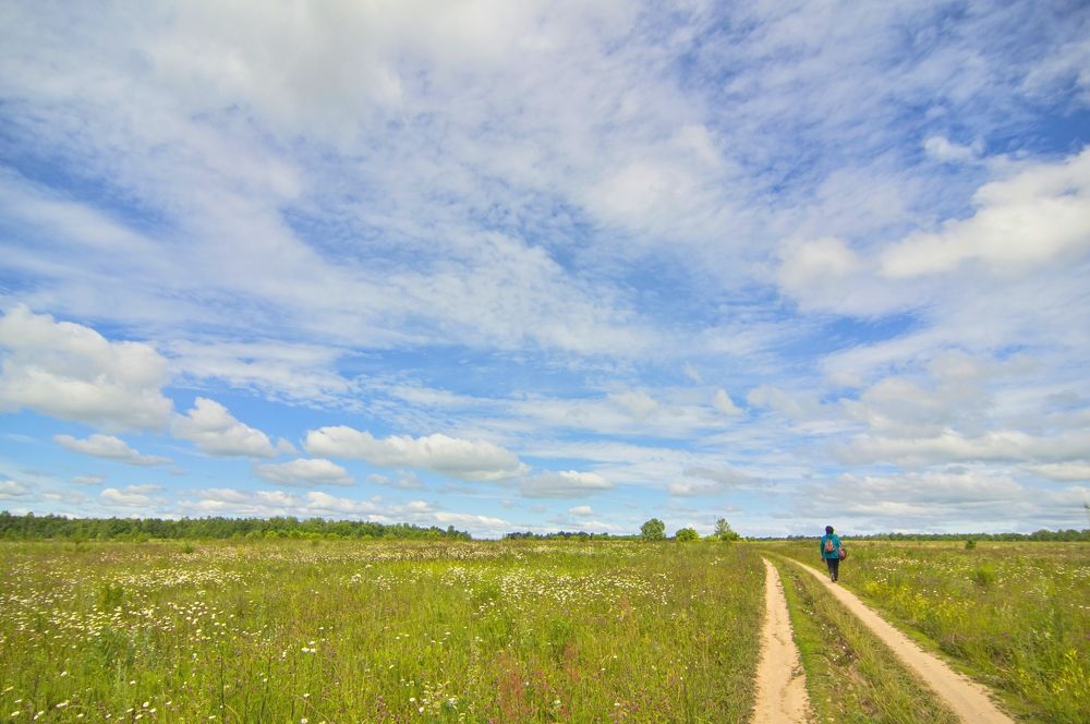 Фотография автора Клавдия Васильева